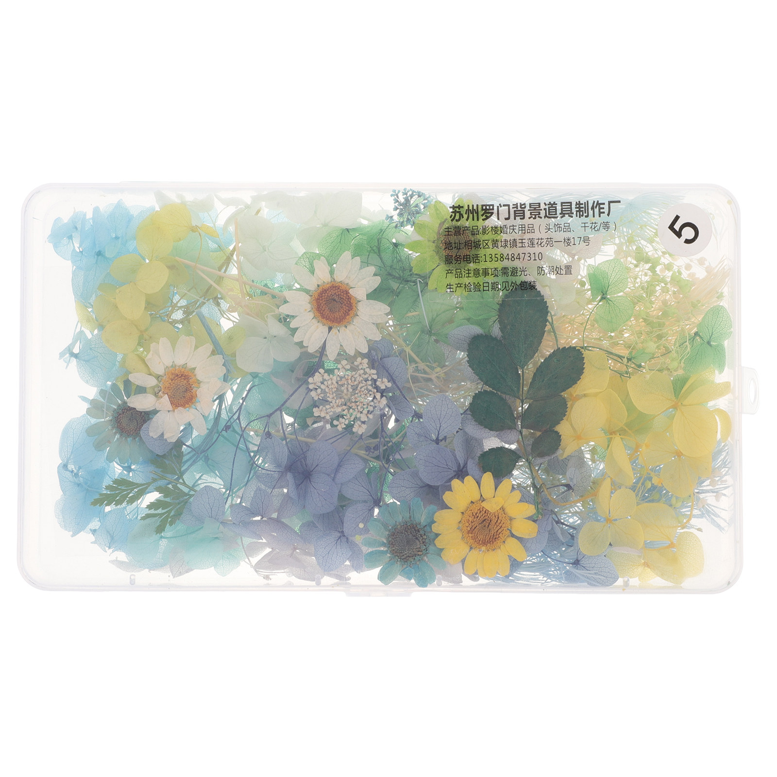 Resin Crafts Diy - Kit de Flores Secas para Tocados