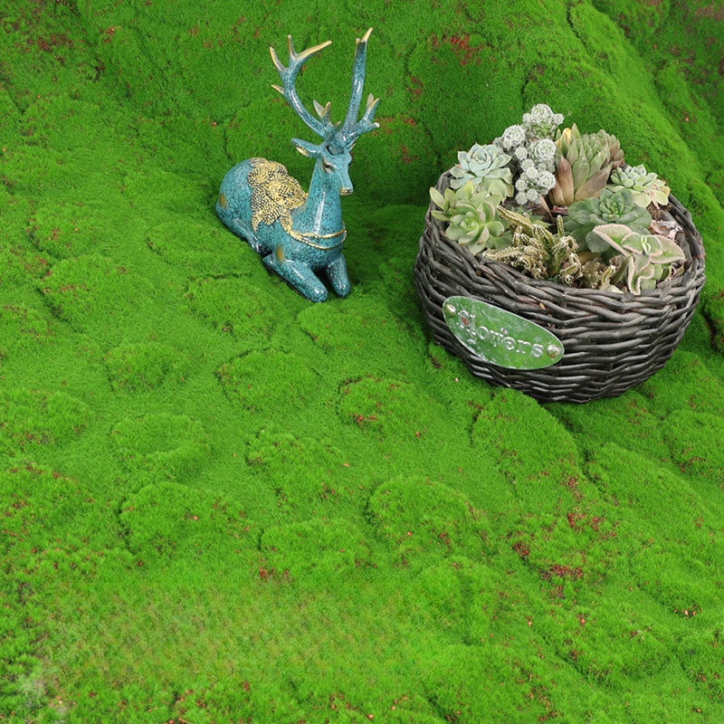 Turf Artificial, musgo, simula - Terrarium Moss Art reseña y precio