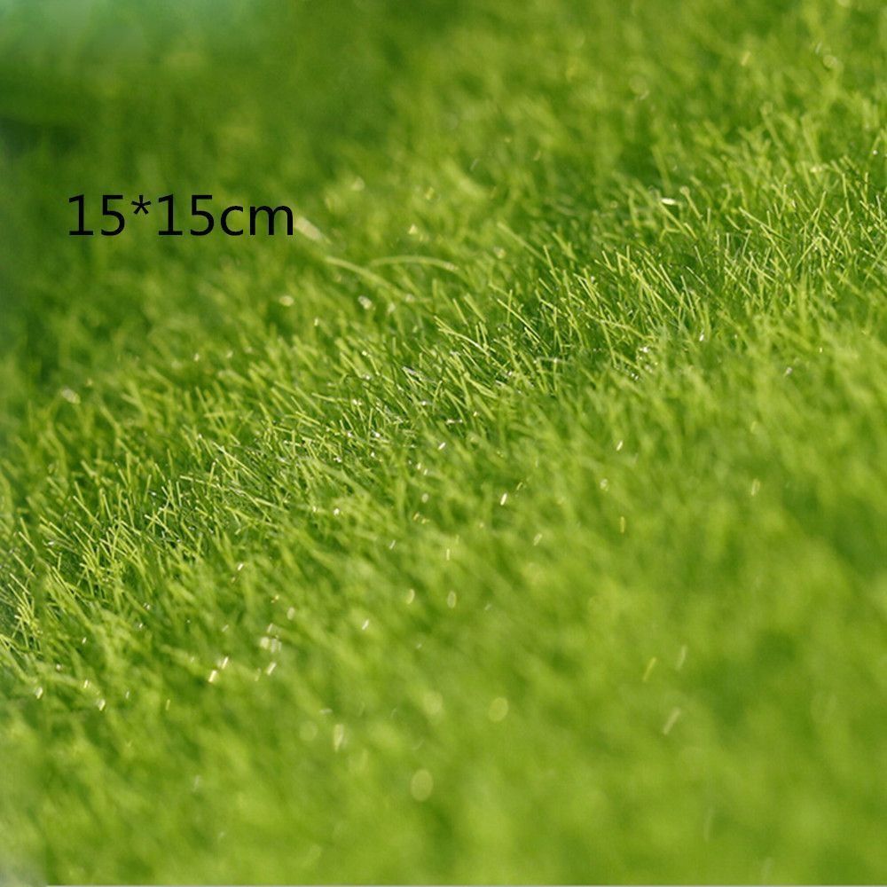 Decoración Ecológica para Jard - Terrarium Moss Art reseña y precio