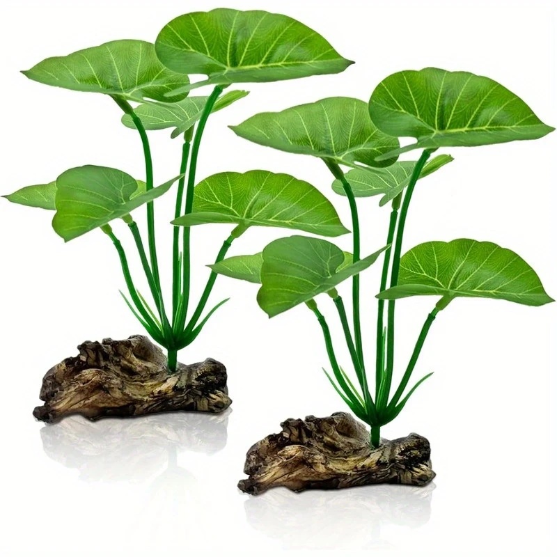 Plantas artificiales para acua - Terrarium Moss Art reseña y precio