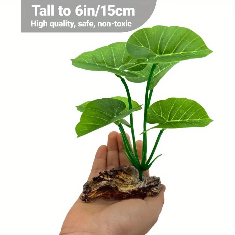 Plantas artificiales para acua - Terrarium Moss Art reseña y precio