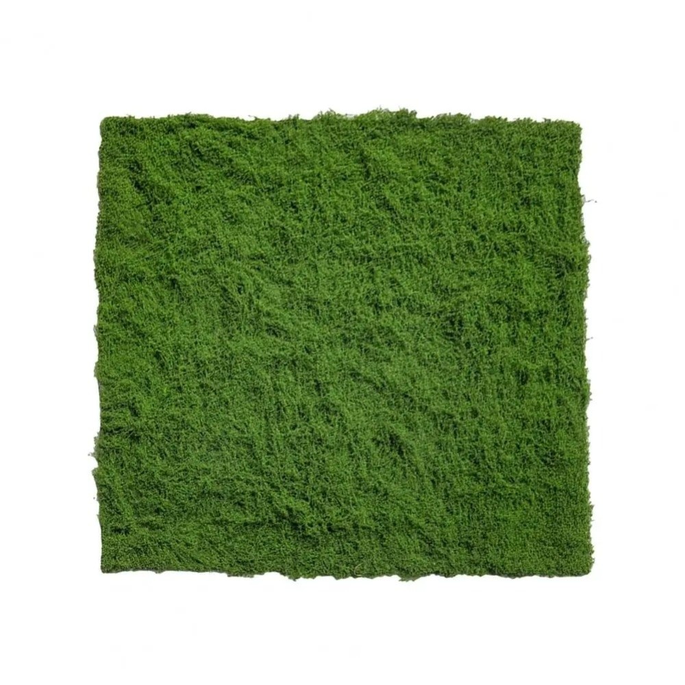 Alfombra de Césped Artificial  - Terrarium Moss Art reseña y precio