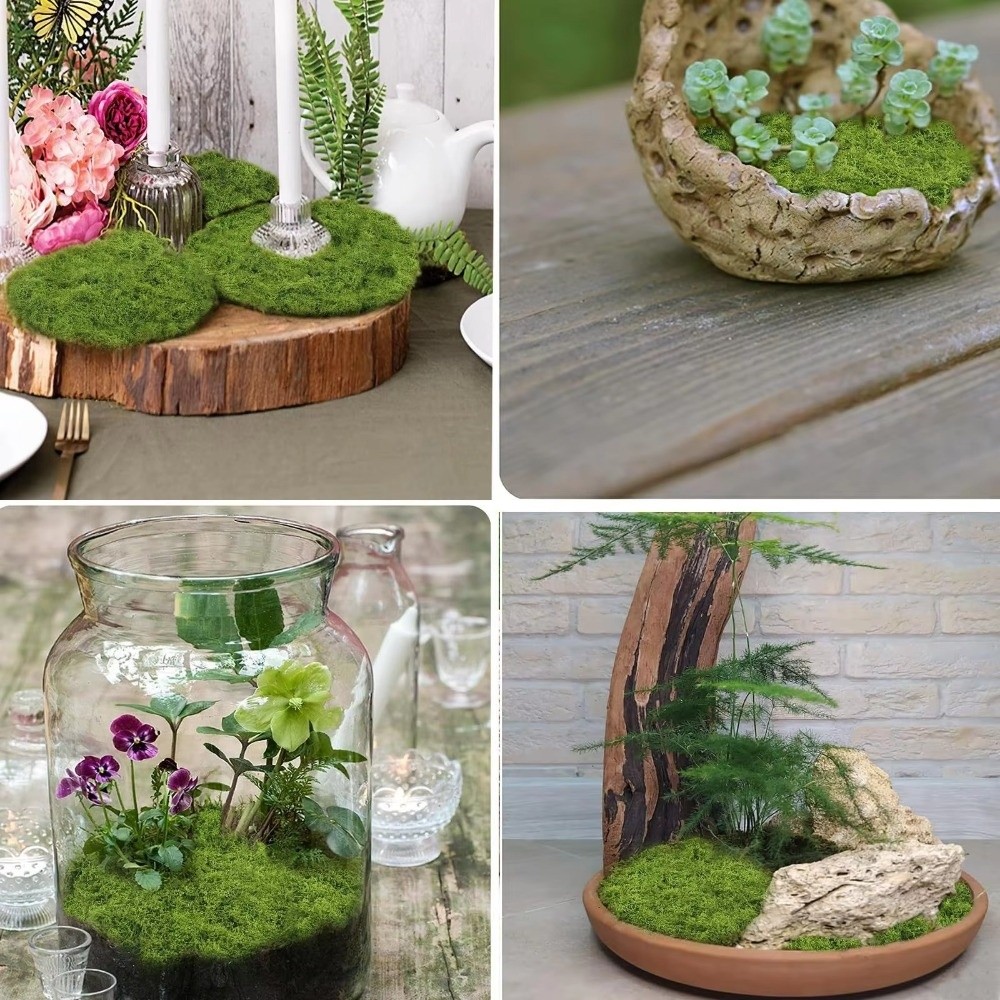 Alfombra de Césped Artificial  - Terrarium Moss Art reseña y precio