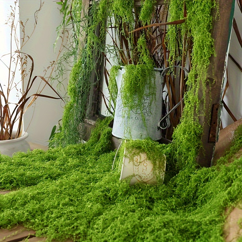1 paquete de musgo artificial  - Terrarium Moss Art reseña y precio