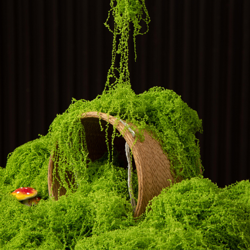 Musgo Eterno de 200g para Manu - Terrarium Moss Art reseña y precio