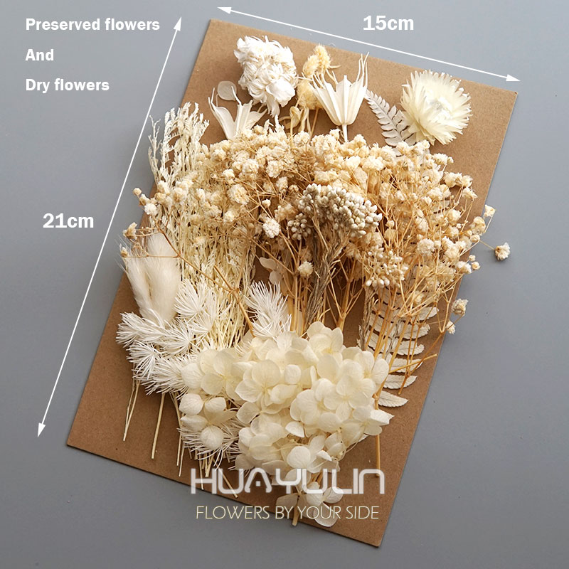 1 paquete de plantas artificia - Flower Preservation Resin reseña y precio