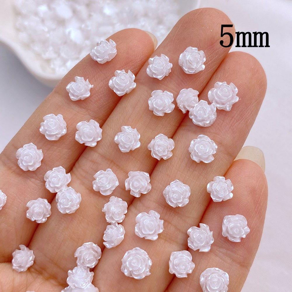Mini resina serie de pequeñas  - Flower Preservation Resin reseña y precio