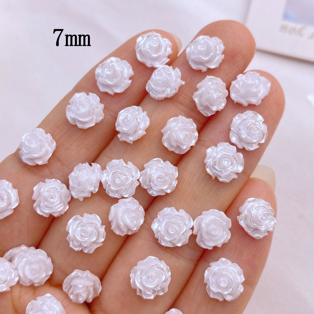 Mini resina serie de pequeñas  - Flower Preservation Resin reseña y precio