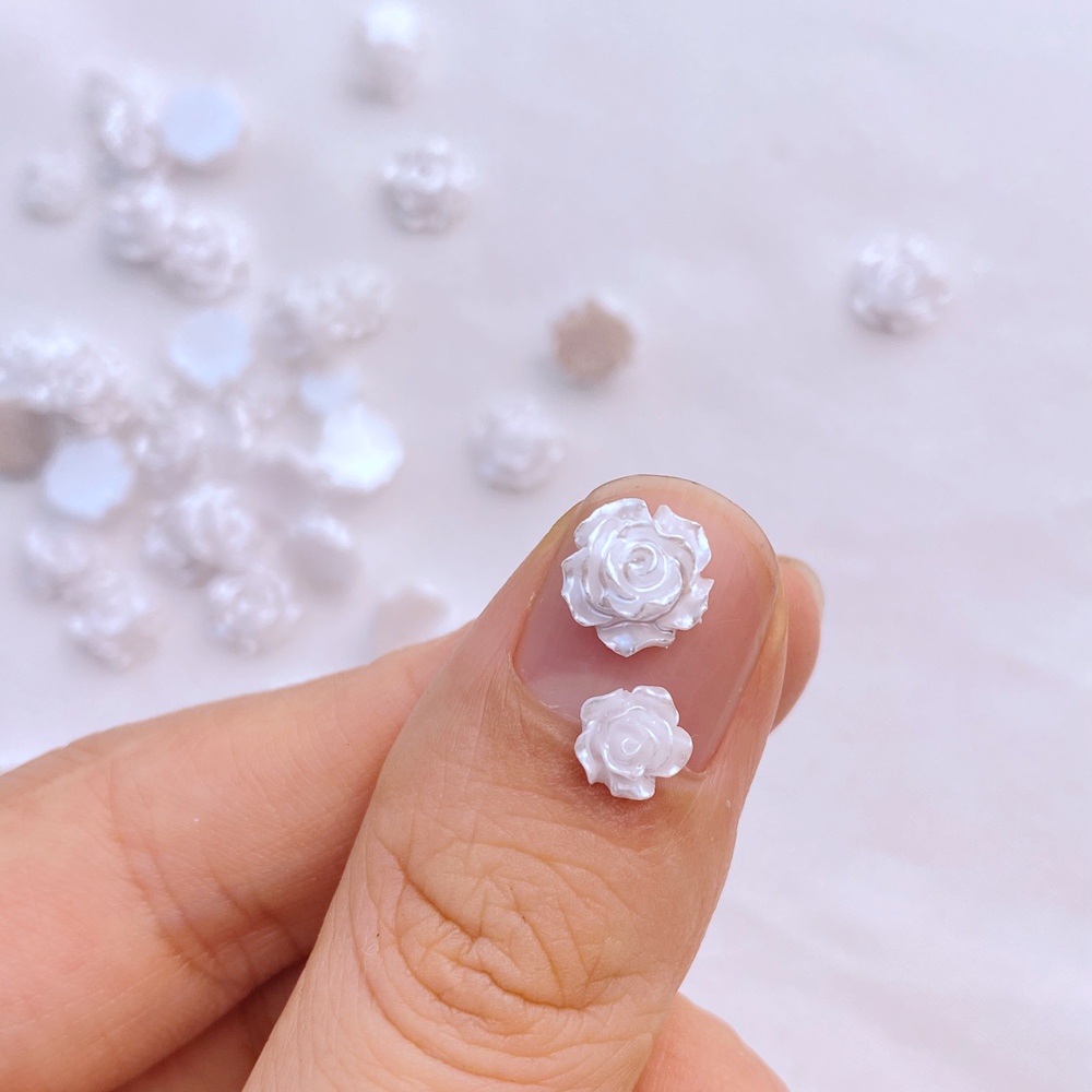 Mini resina serie de pequeñas  - Flower Preservation Resin reseña y precio