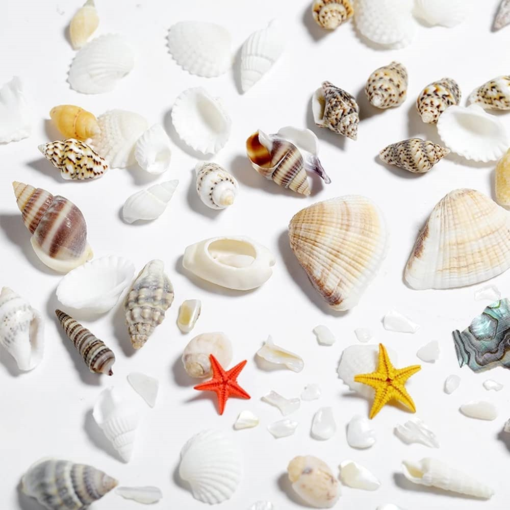 1 caja de conchas de mar, rell - Resin Ocean Wave Mold reseña y precio
