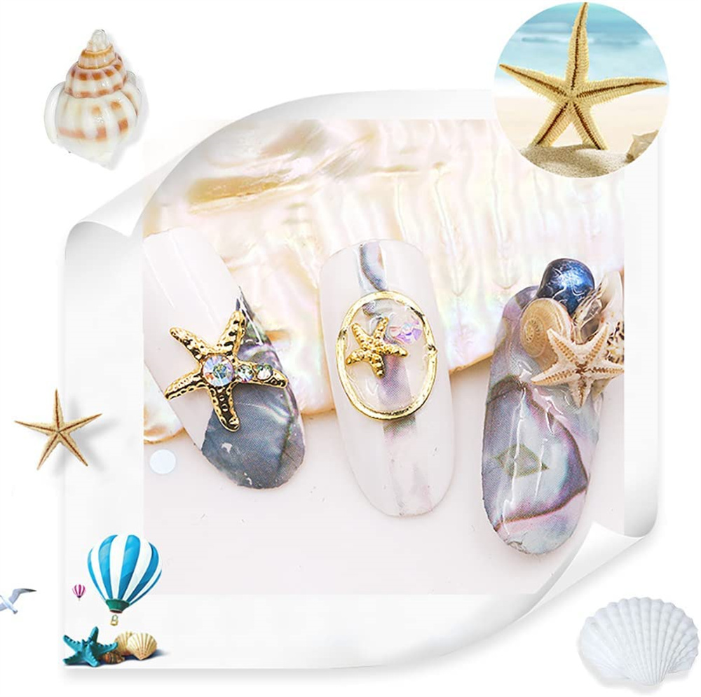 1 caja de conchas de mar, rell - Resin Ocean Wave Mold reseña y precio